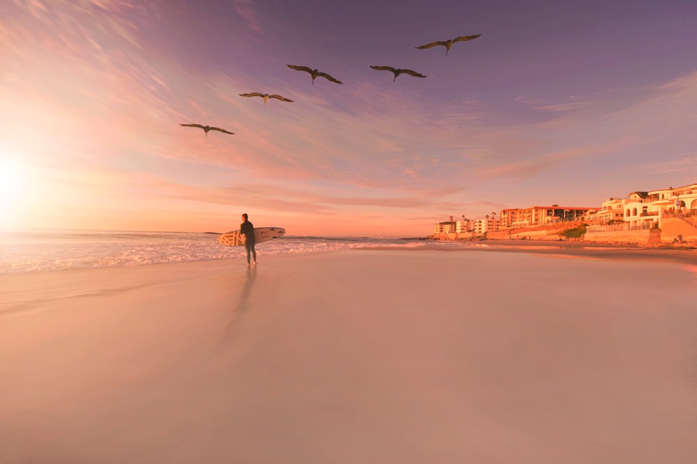 personne debout au bord de la mer avec des oiseaux volant dans le ciel