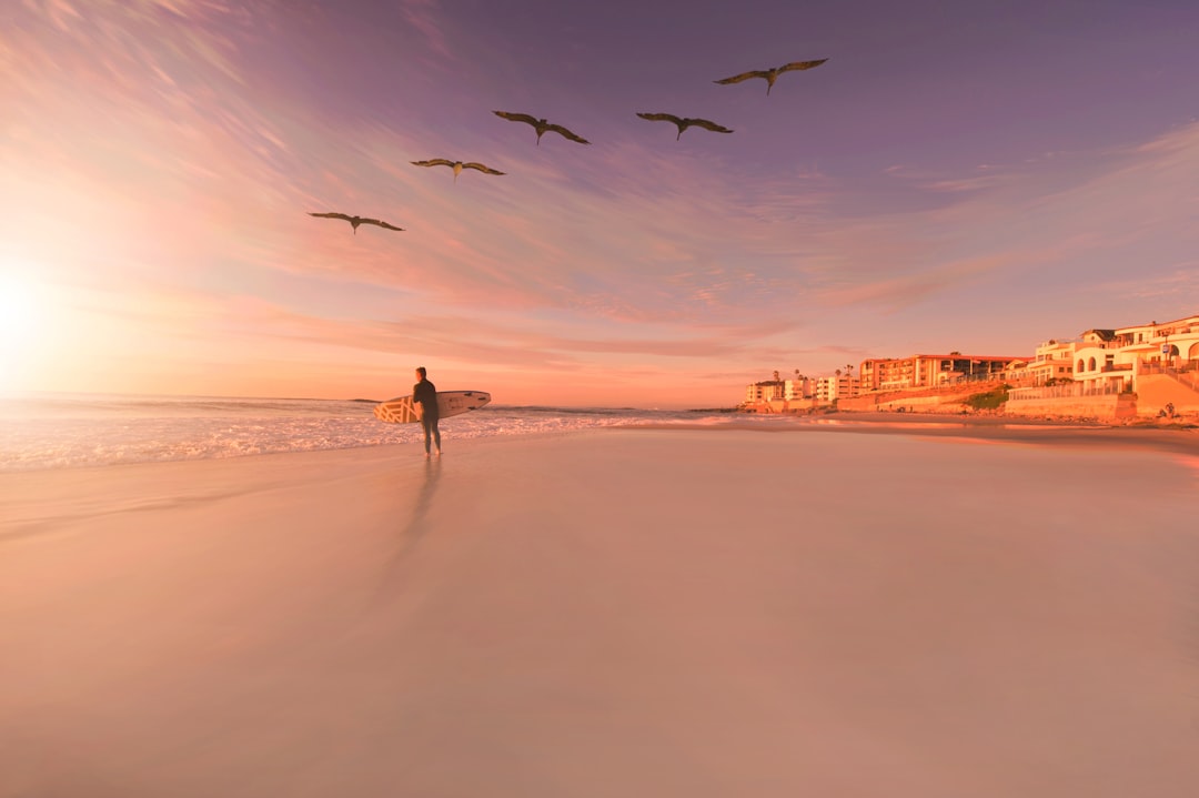 person standing in seashore with birds flying in sky, Surfer and gulls at sunset