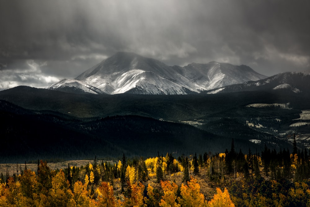 snow-covered mountains