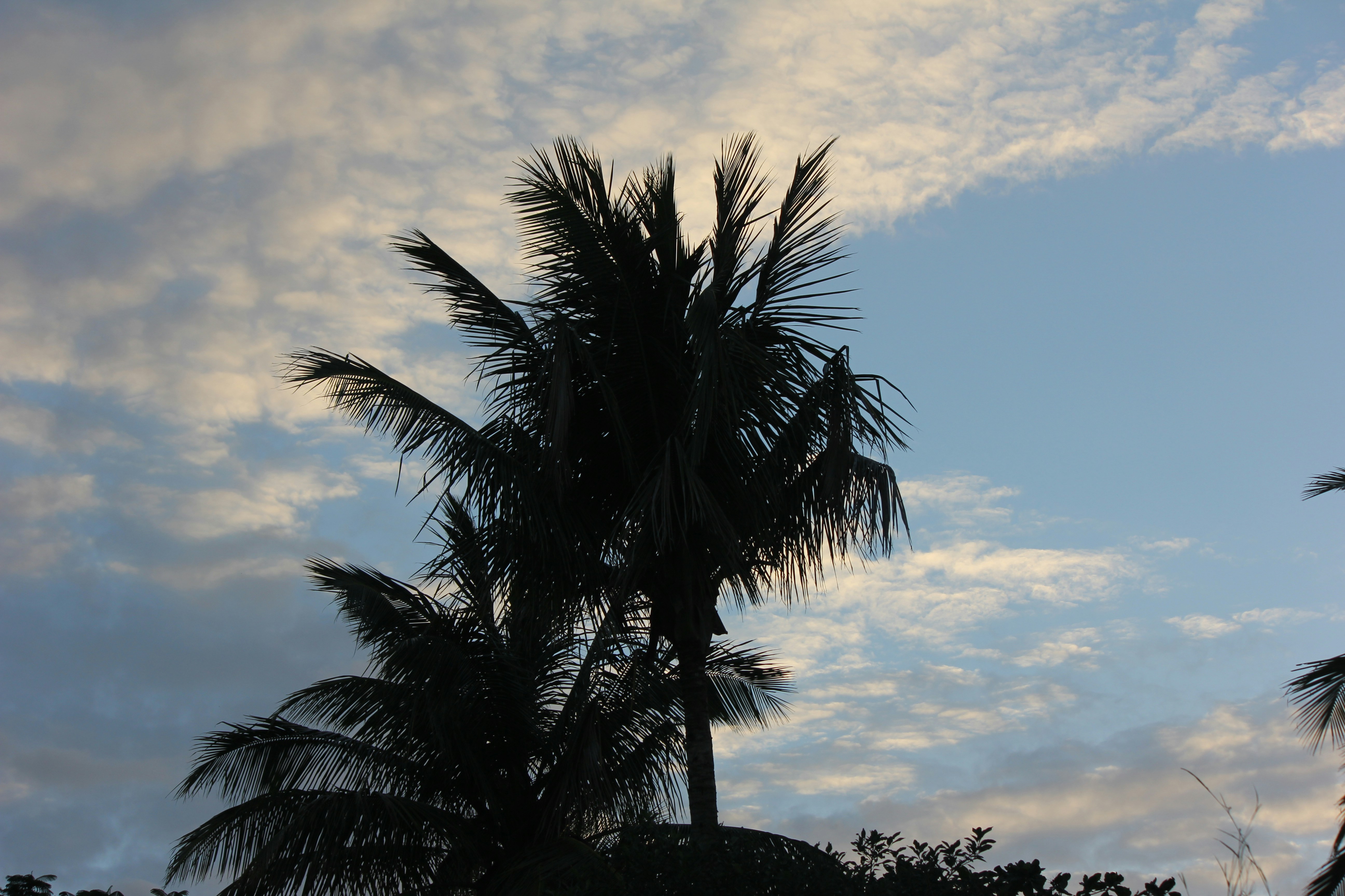 Free Unsplash photo from Jadhav Vijay