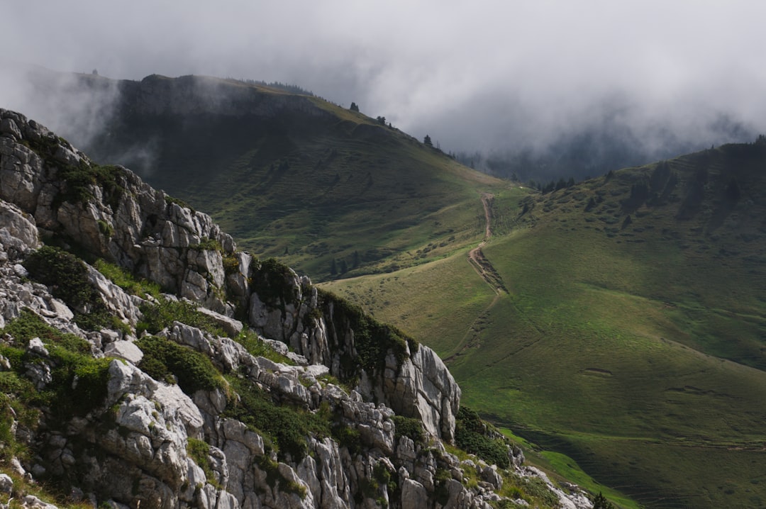 gray mountain alps