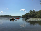 Couple paddling calmly on a sparkling lake surrounded by green trees.
