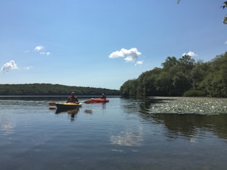 A happy couple kayaking on a calm lake surrounded by evergreen forests under a clear blue sky