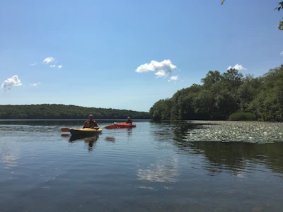Couple paddling calmly on a sparkling lake surrounded by green trees.