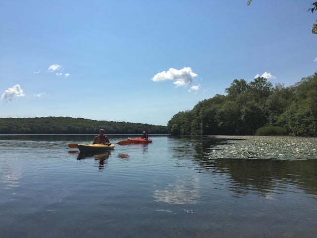 A happy couple kayaking on a calm lake surrounded by evergreen forests under a clear blue sky