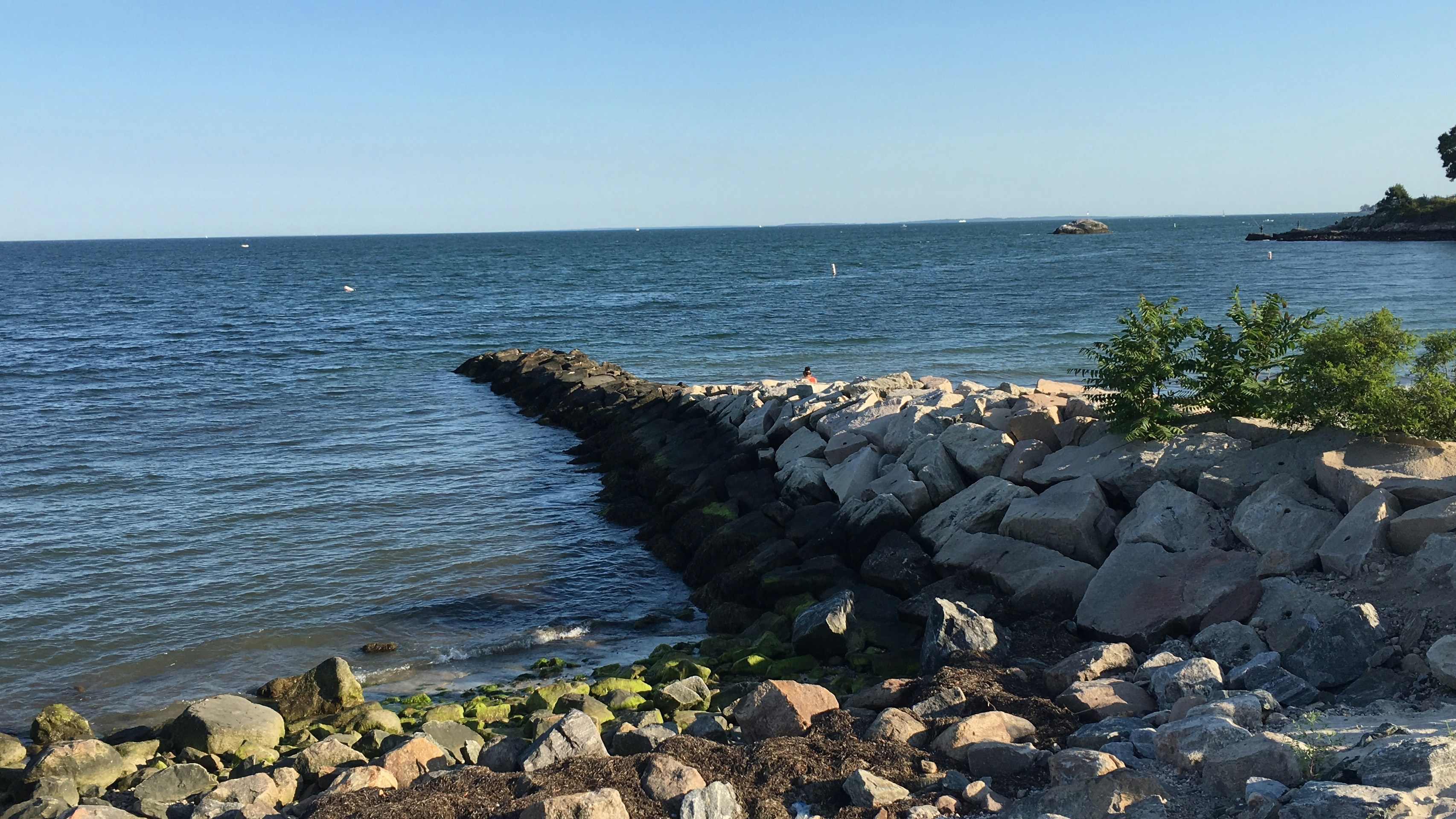 Free Unsplash photo from Kaitlyn Huska