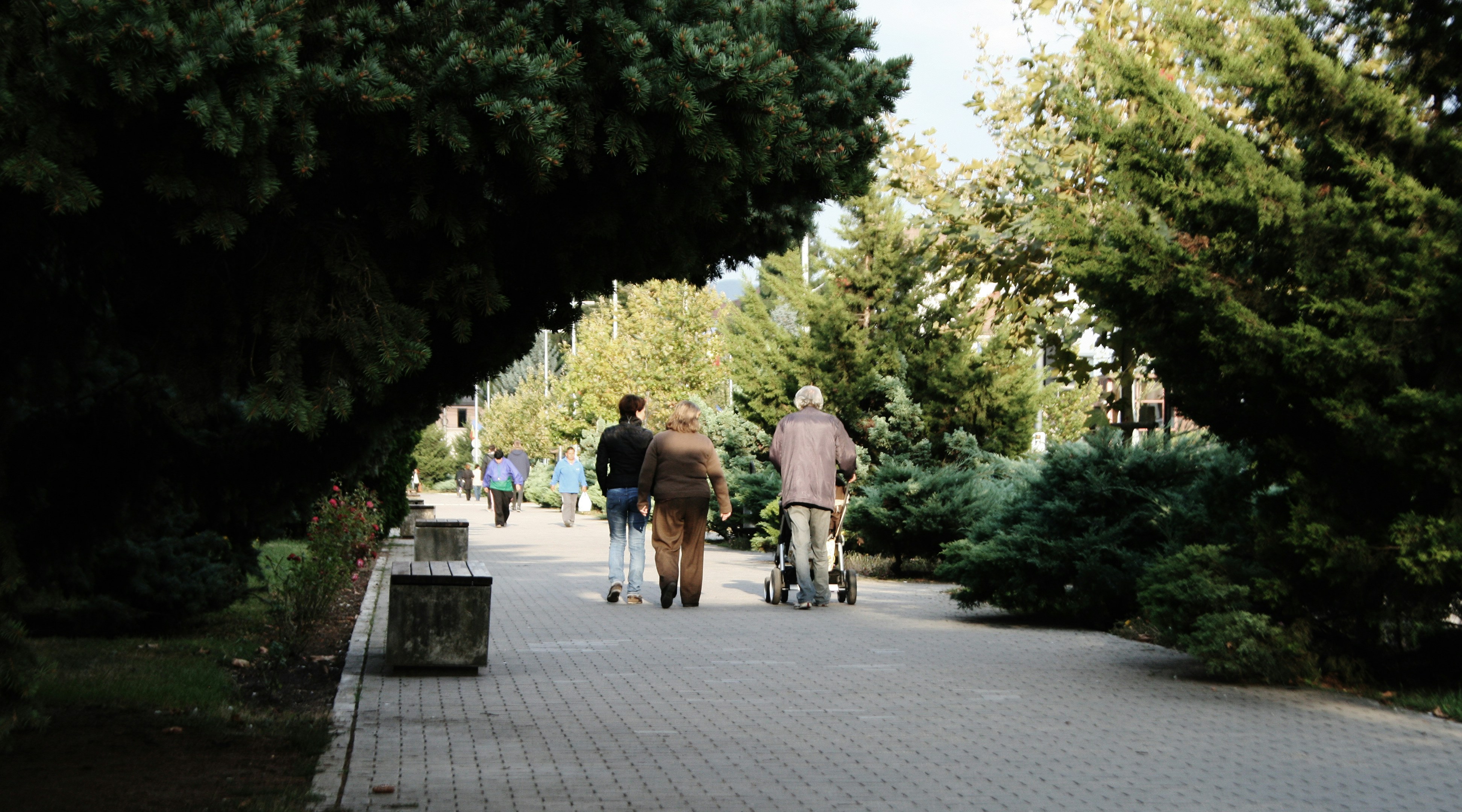 Free Unsplash photo from Cotos Bogdan