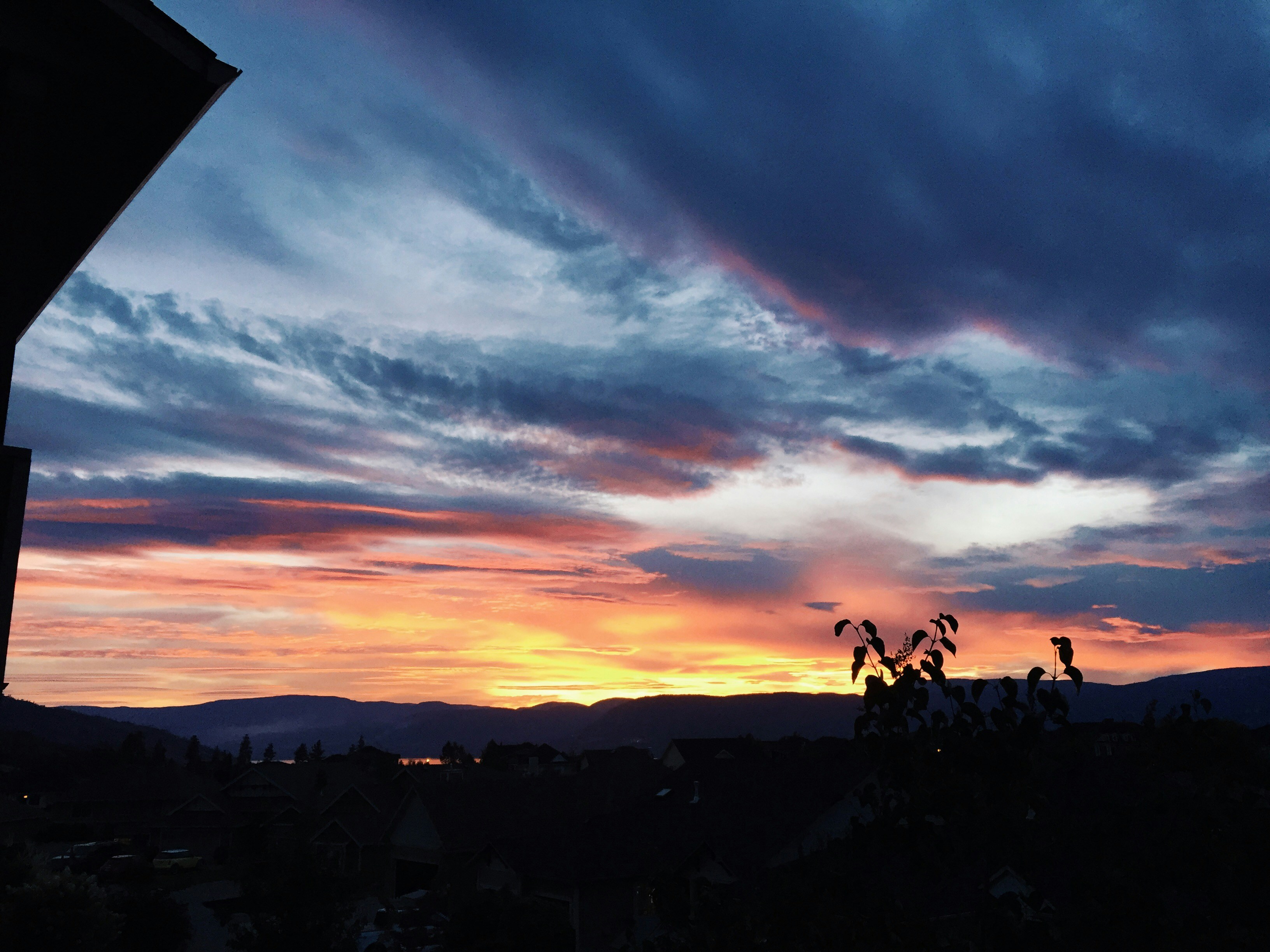 Free Unsplash photo from Jace Roy