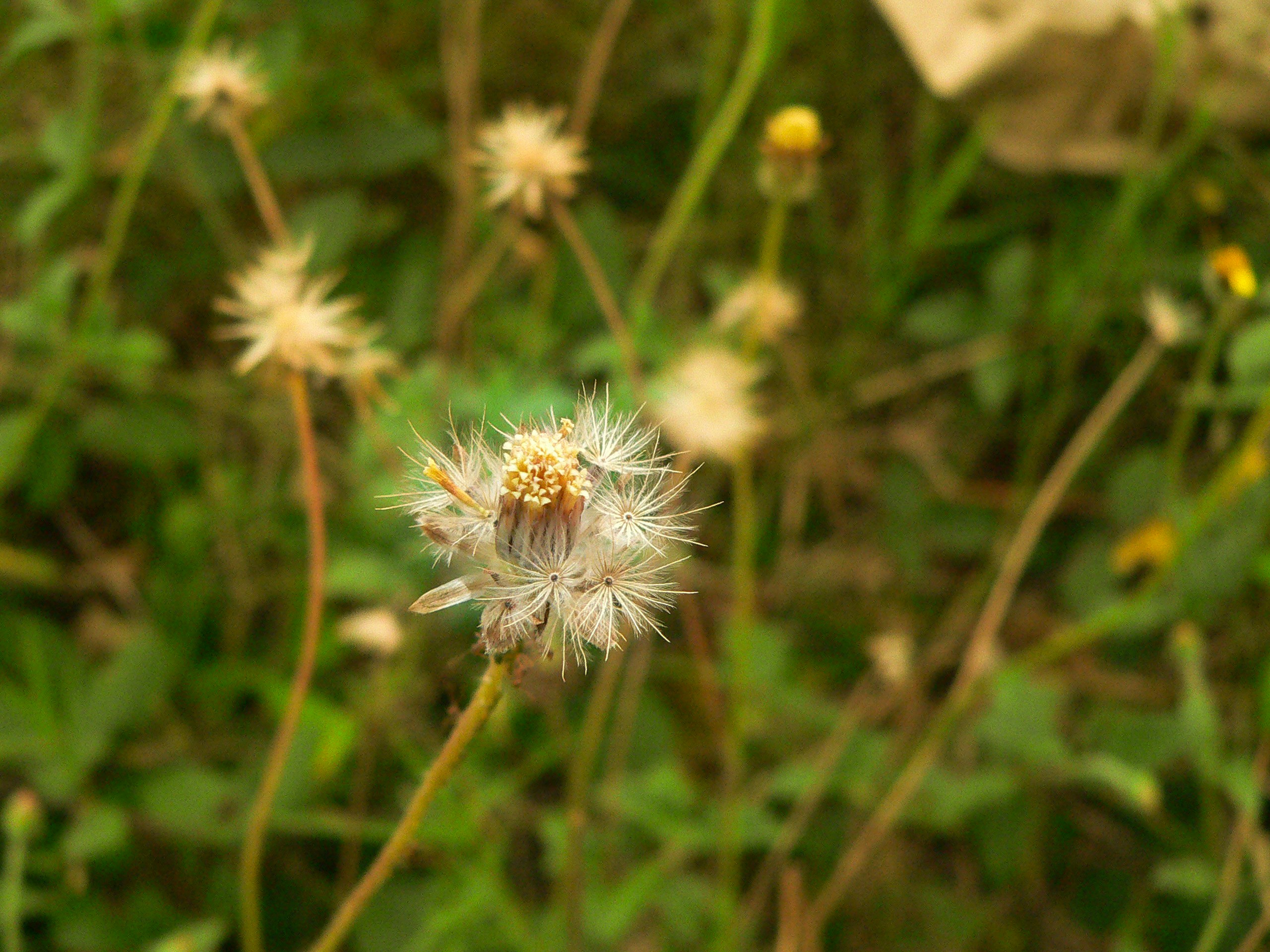 Free Unsplash photo from Hargo Wicaksono