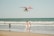 A bright red seaplane flies low over the ocean near the shore, with gentle waves rolling onto the beach. Several people are seen enjoying the water, including a couple standing at the water's edge and a child playing in the surf.