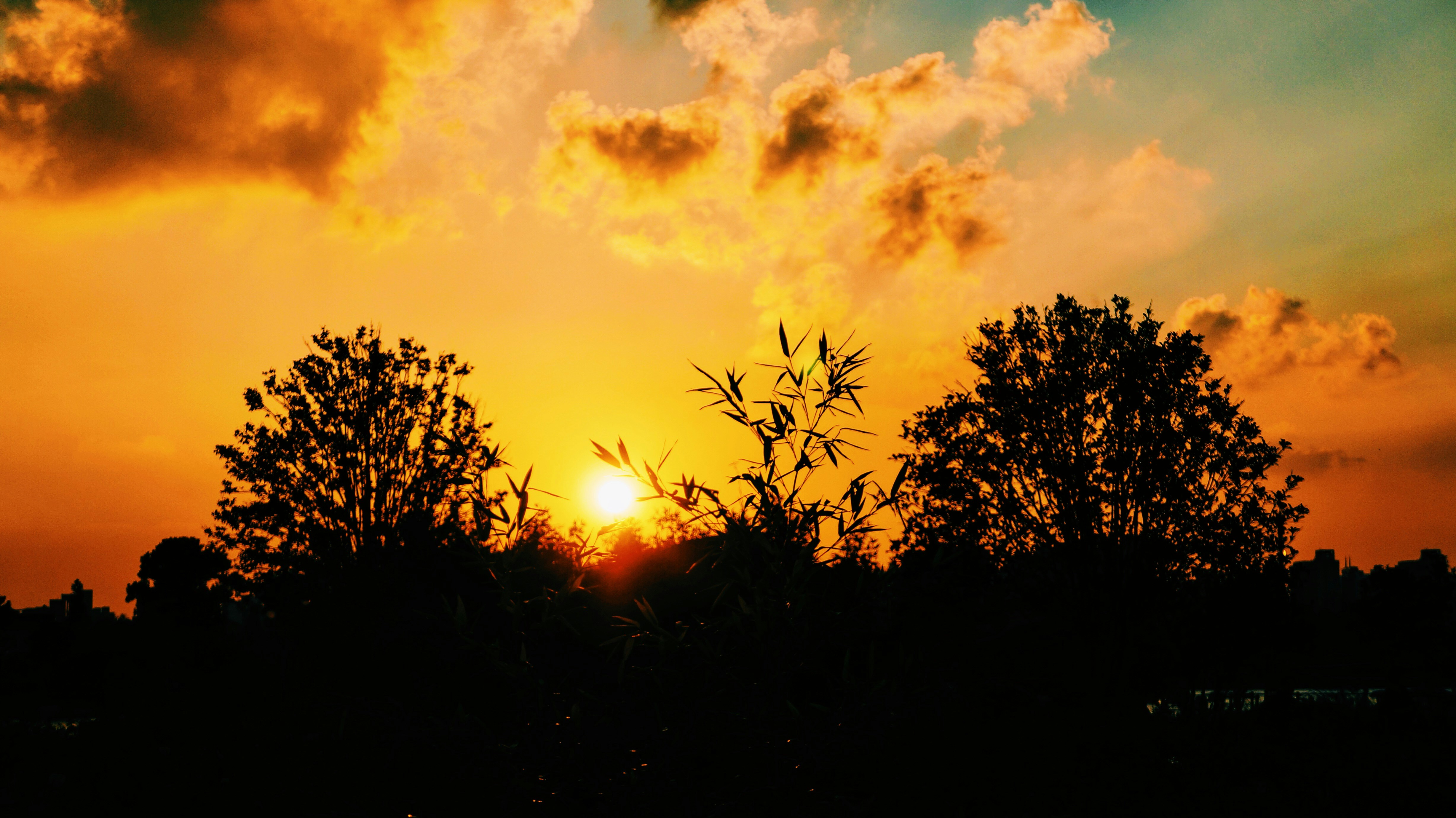 Free Unsplash photo from Riku Lu