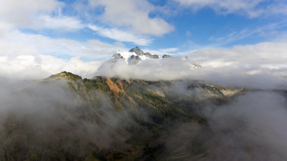 Montagna nebbiosa durante il giorno