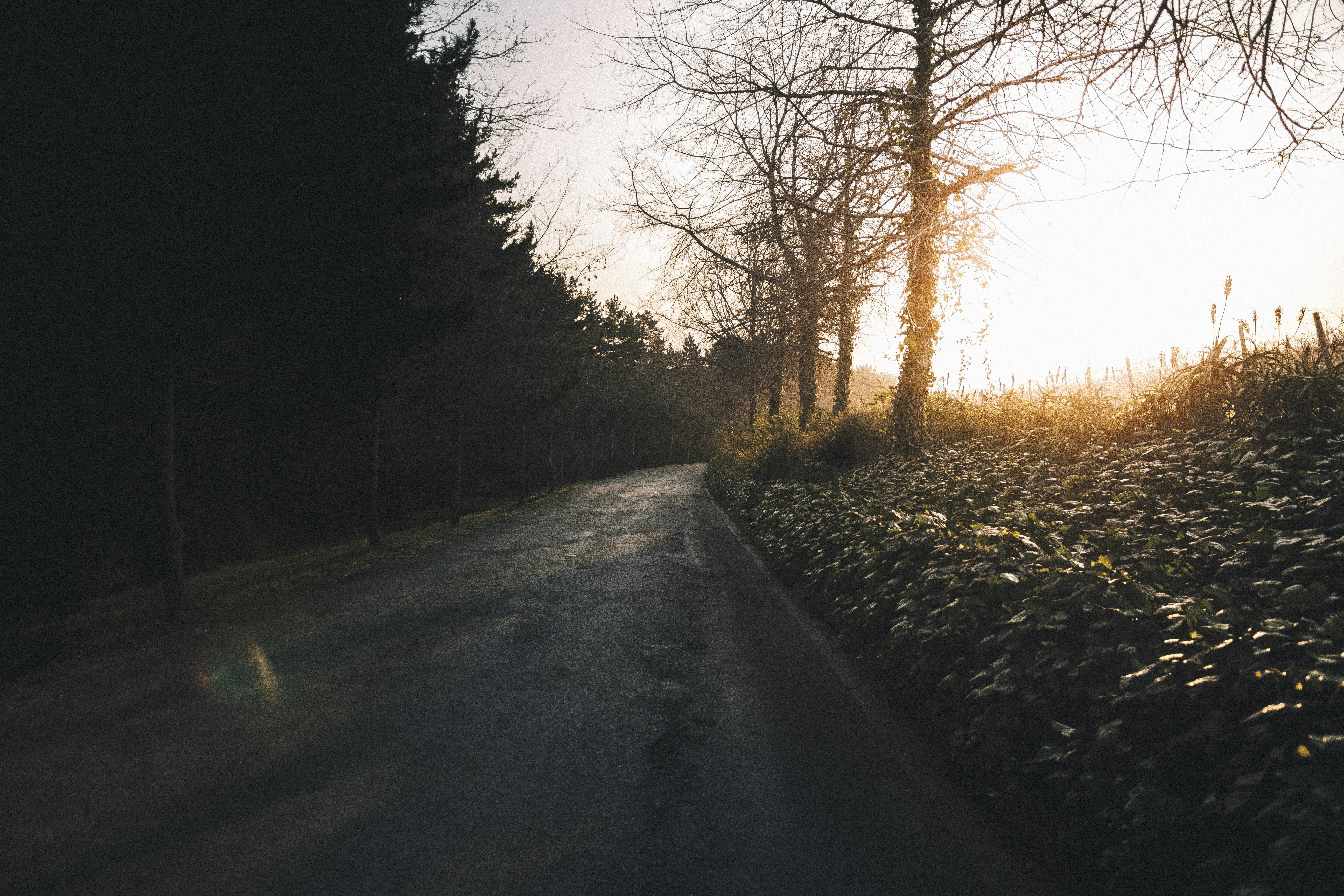 Free Unsplash photo from Christian Spies