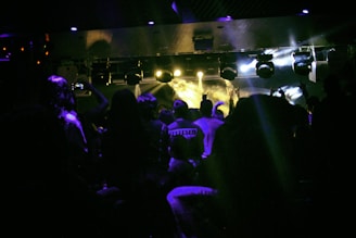 A dimly lit concert venue filled with an energetic crowd. People are standing, some with hands raised in excitement. Stage lights illuminate the area, casting vibrant beams of light across the scene.