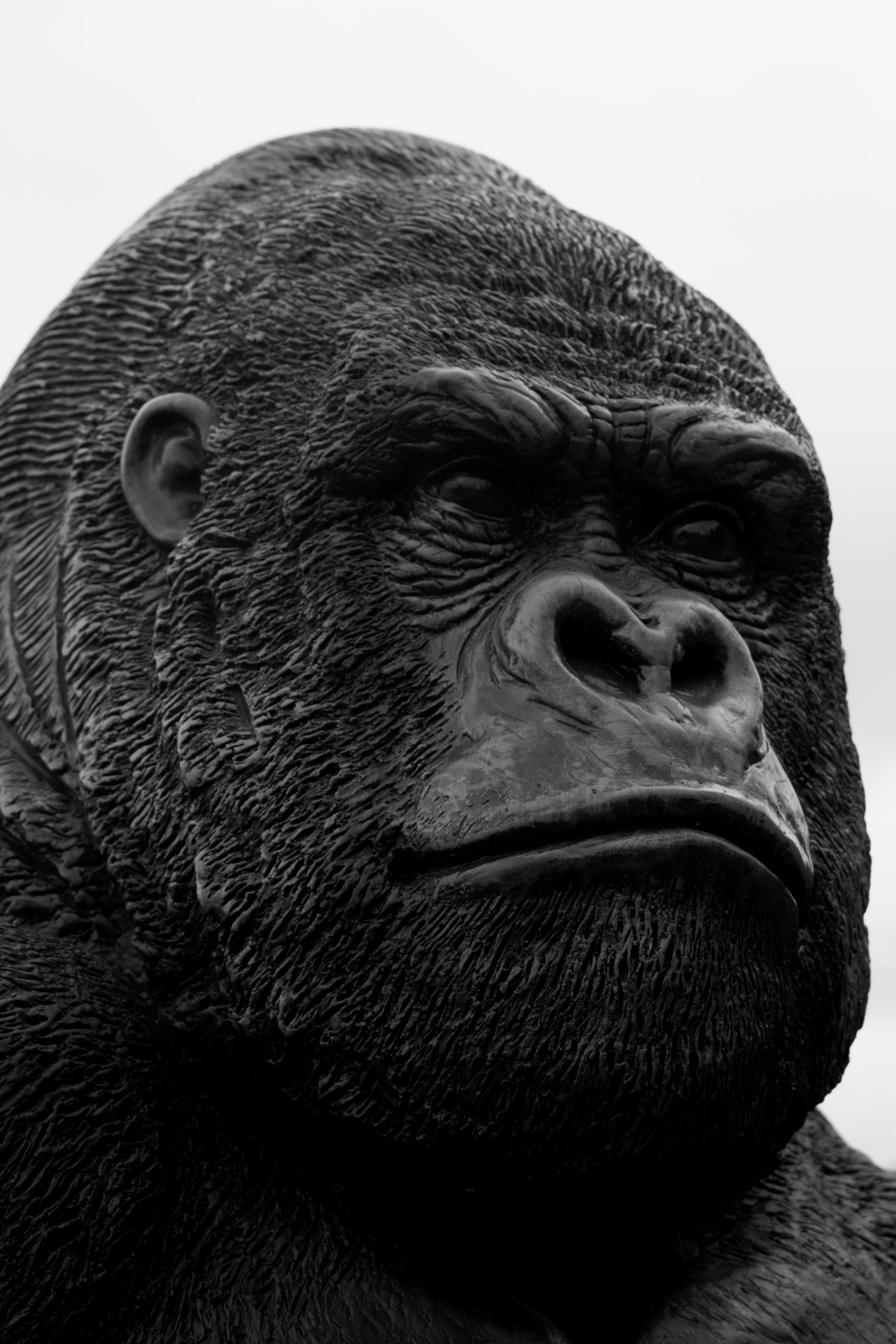 Free Unsplash photo from matt Glasby