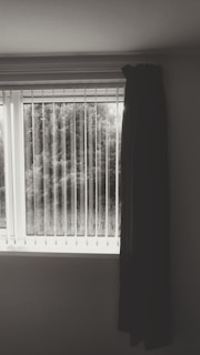 A window with vertical blinds and a single dark curtain partially drawn to the right side. Outside the window, there is a view of dense foliage or trees.