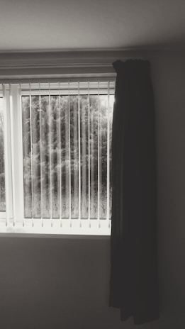 A window with vertical blinds and a single dark curtain partially drawn to the right side. Outside the window, there is a view of dense foliage or trees.