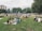 A family enjoying a picnic in a sunny park.