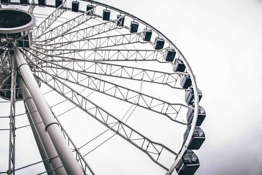 grayscale photo of ferriswheel, Ferris wheel navy pier