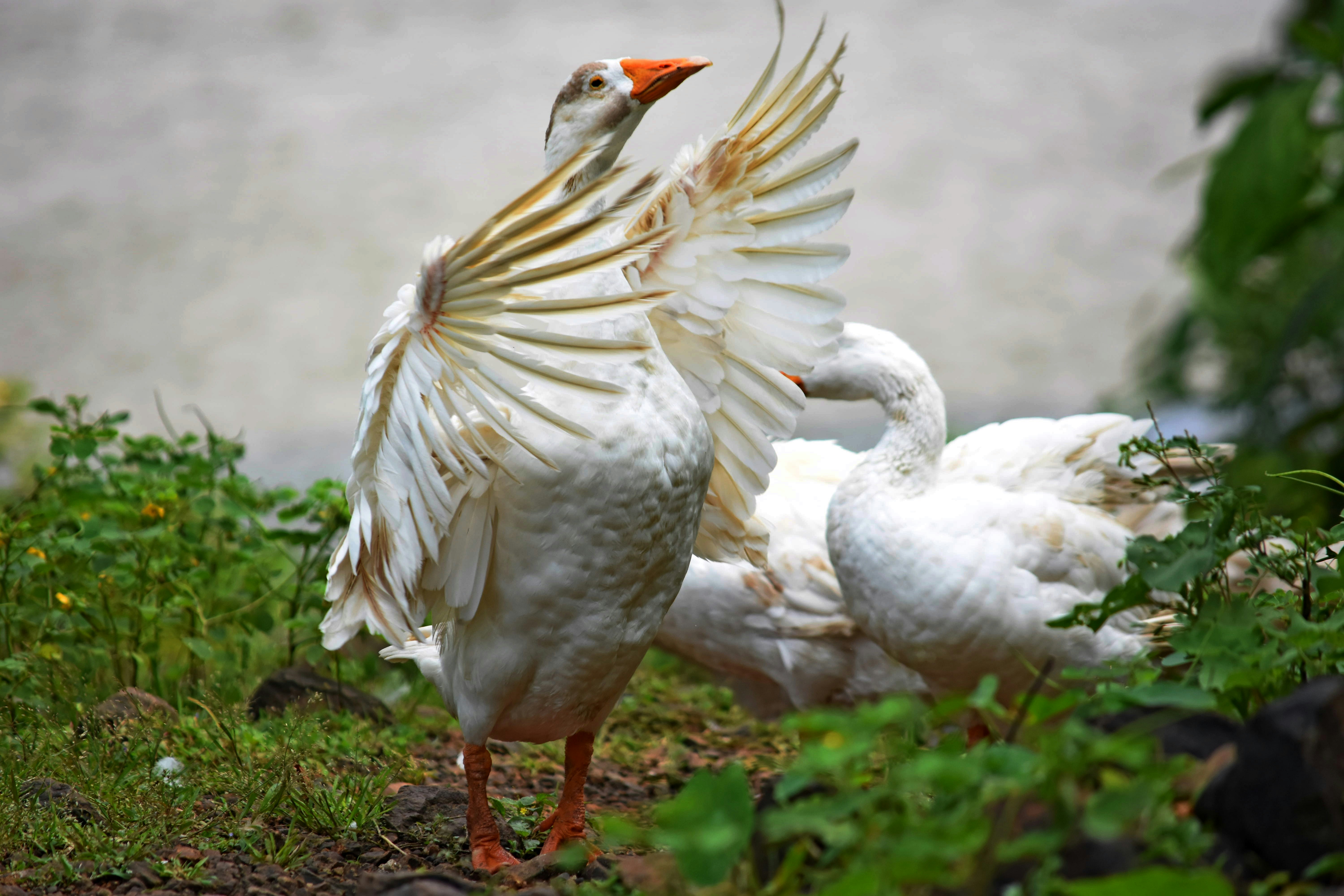 Free Unsplash photo from Sameer Bhalekar