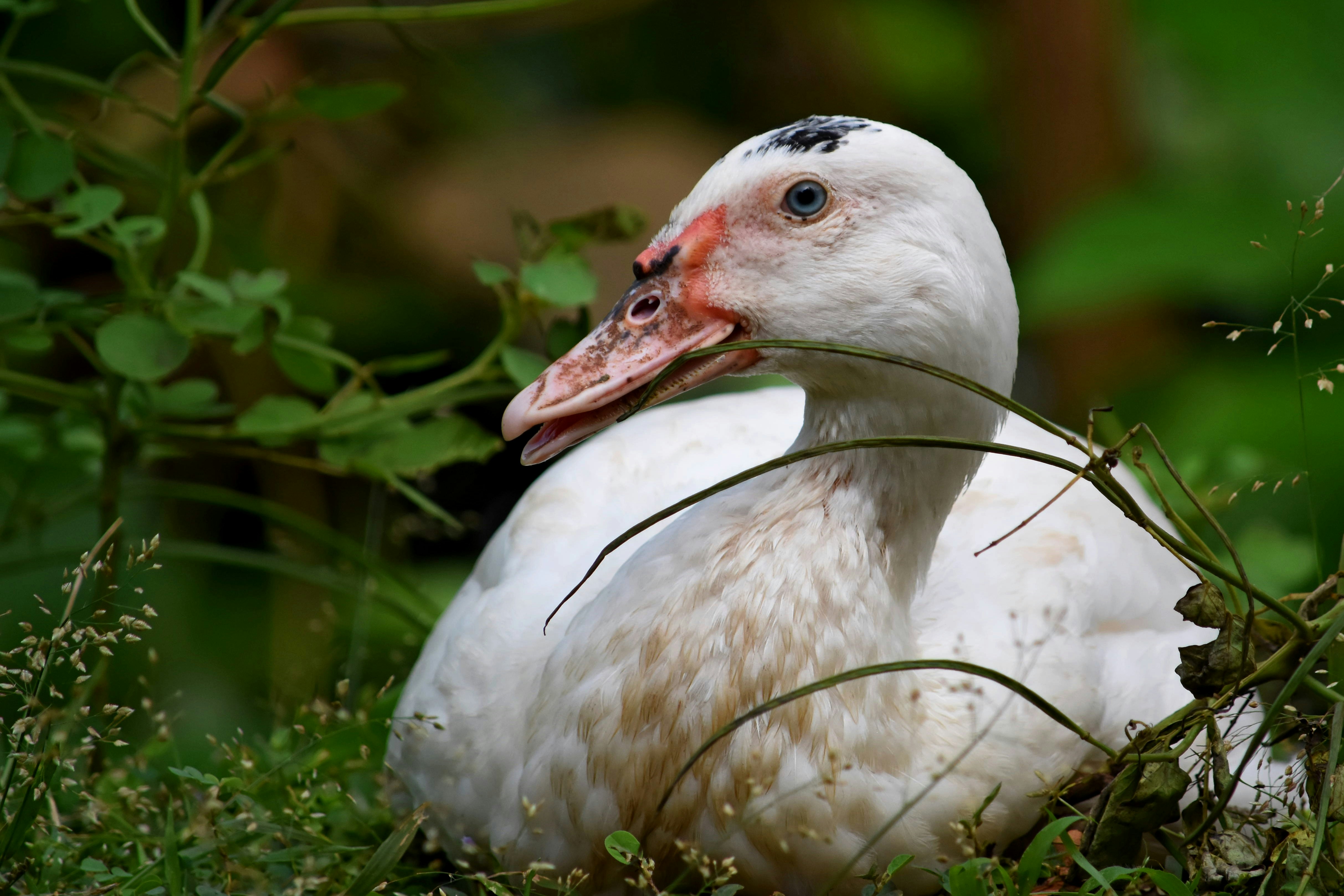 Free Unsplash photo from Sameer Bhalekar