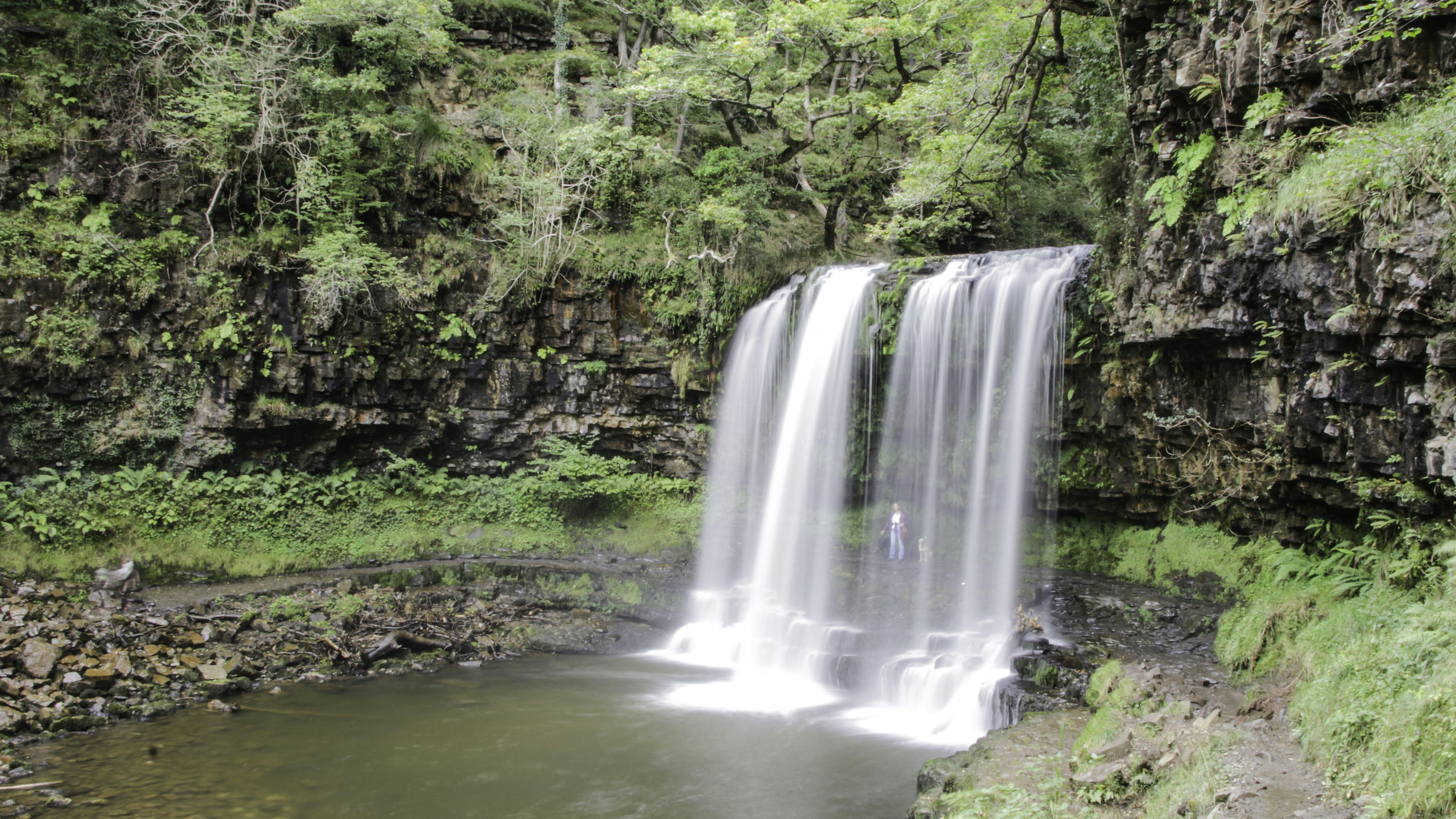 Free Unsplash photo from Alexander Edwards