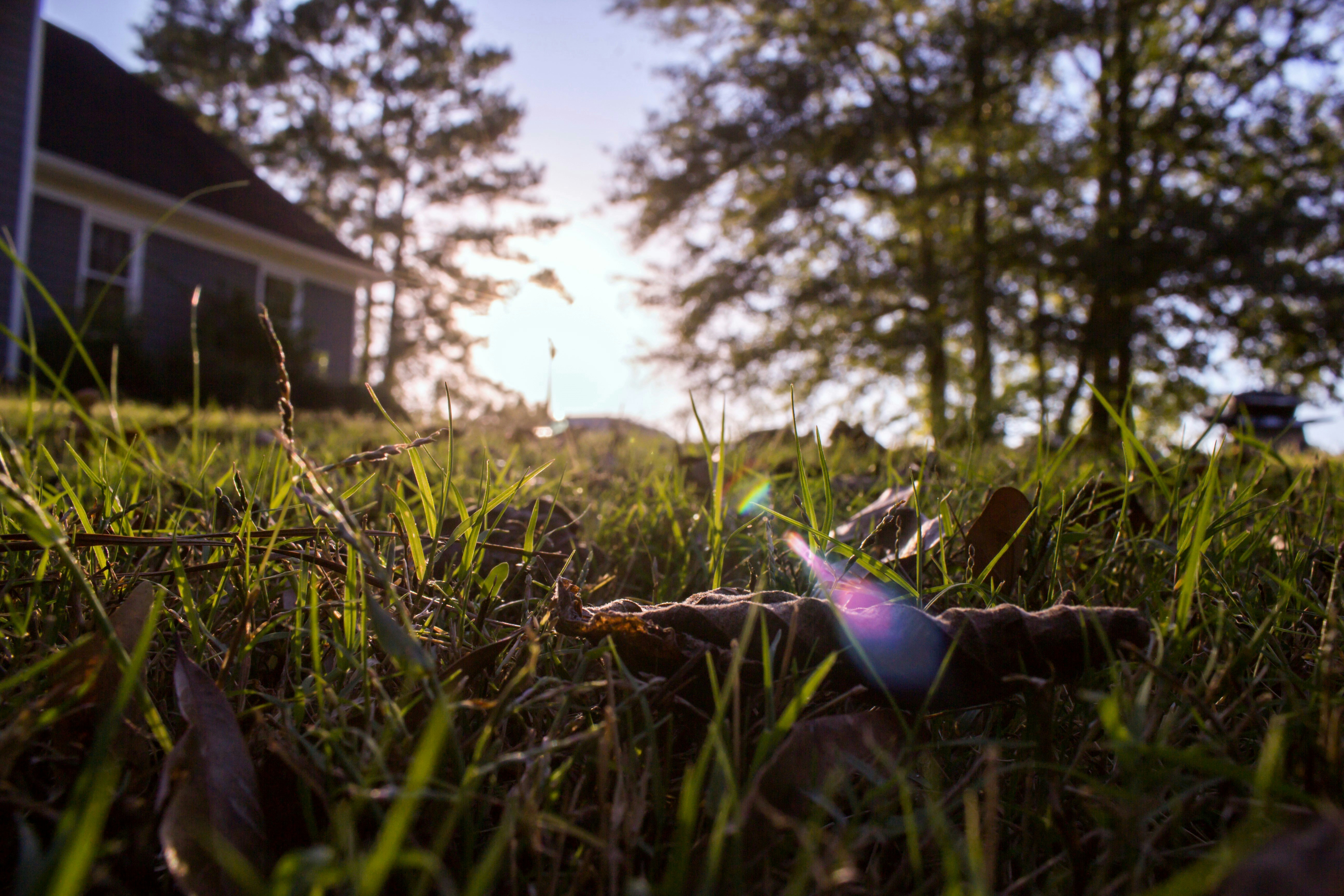 Free Unsplash photo from Adam Gregerson