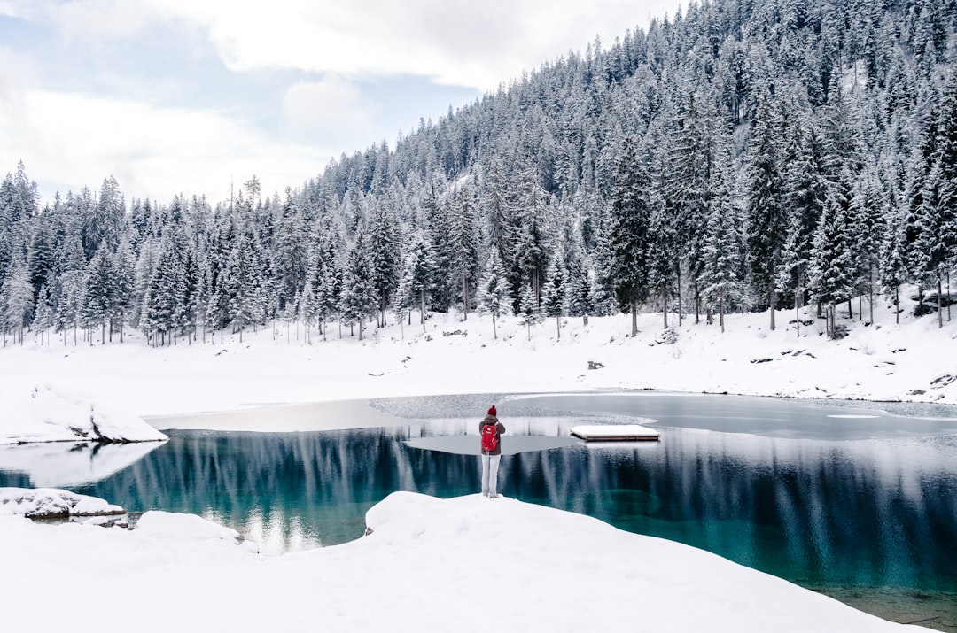 person standing beside body of water surrounded by snow field near trees