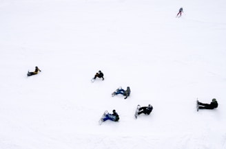 people playing snowboards