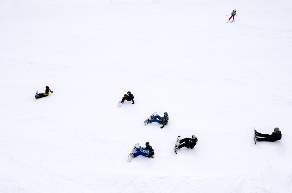 people playing snowboards