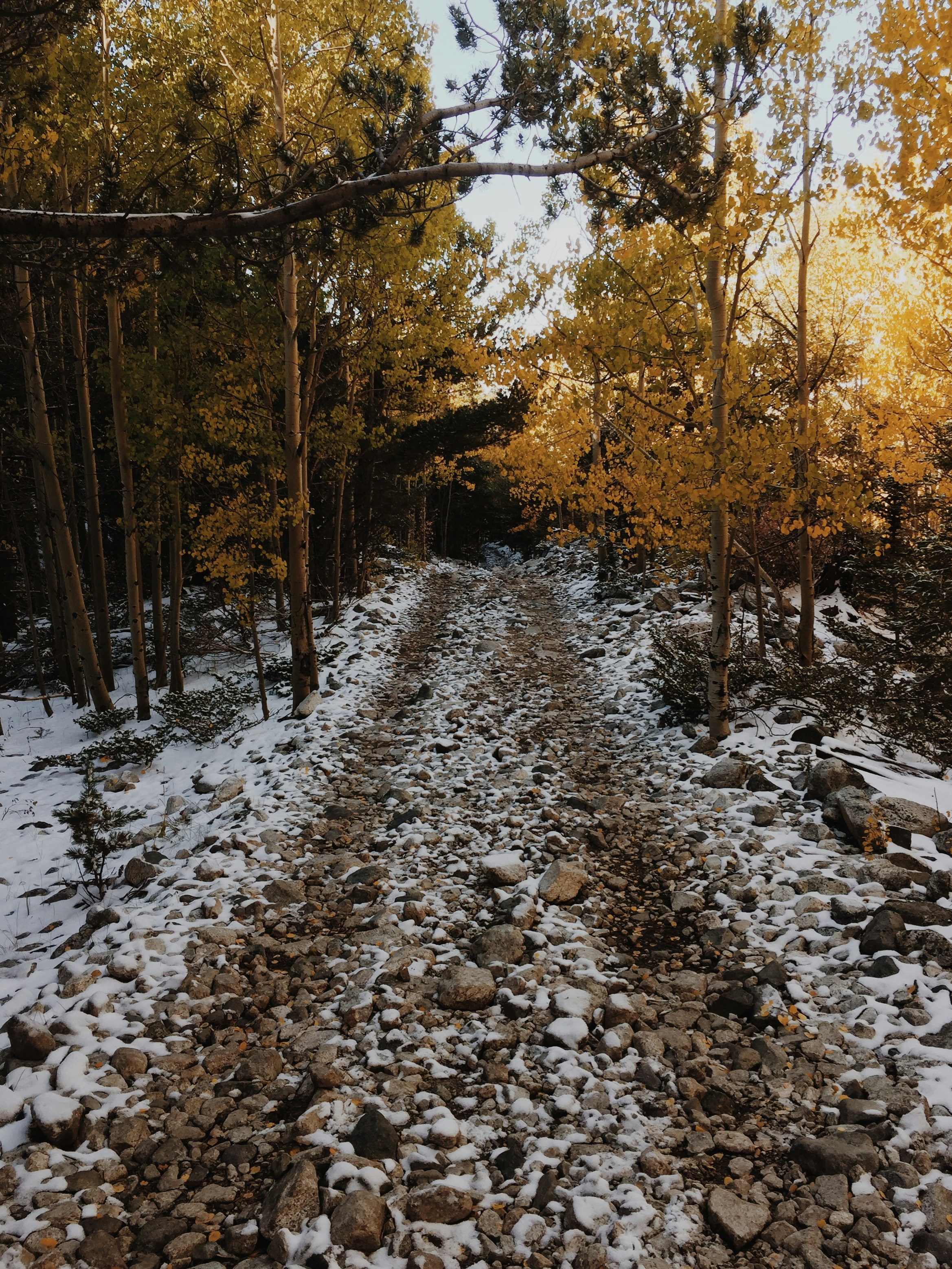 Free Unsplash photo from Luke Jackson