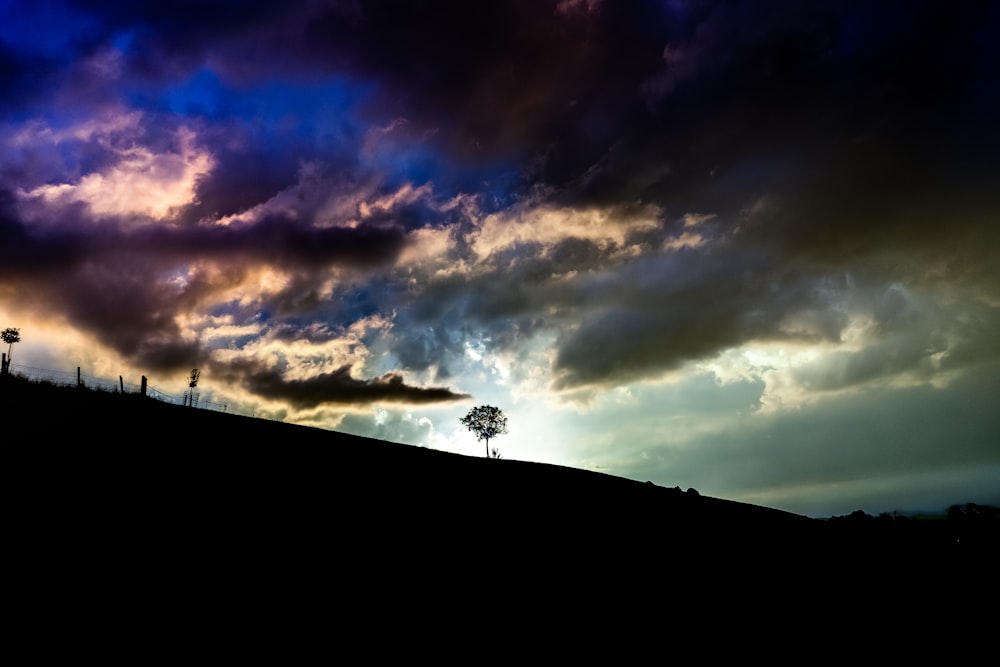 silhouette d’arbre au sommet de la colline sous ciel nuageux