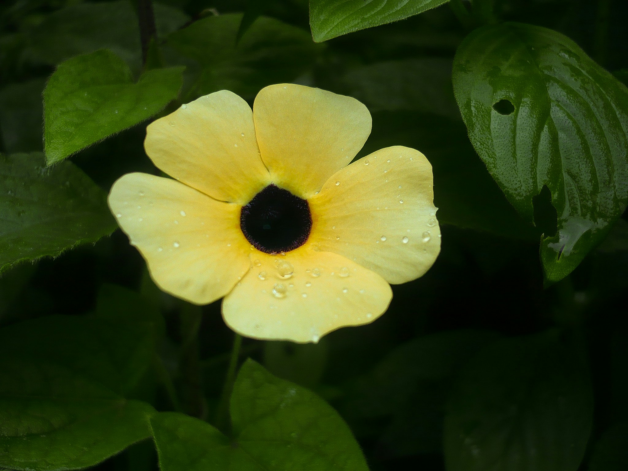 Free Unsplash photo from Hargo Wicaksono