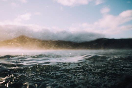 shallow focus photography of sea in Piha New Zealand