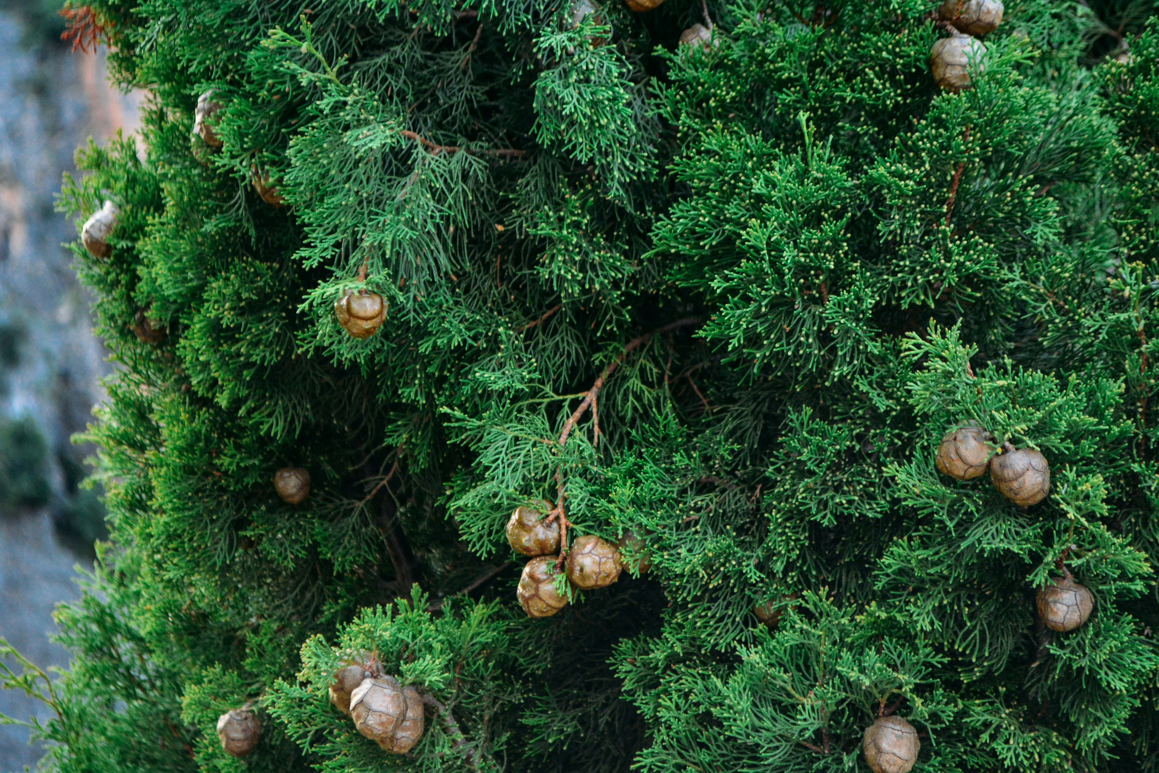 Free Unsplash photo from Margarita Batysheva