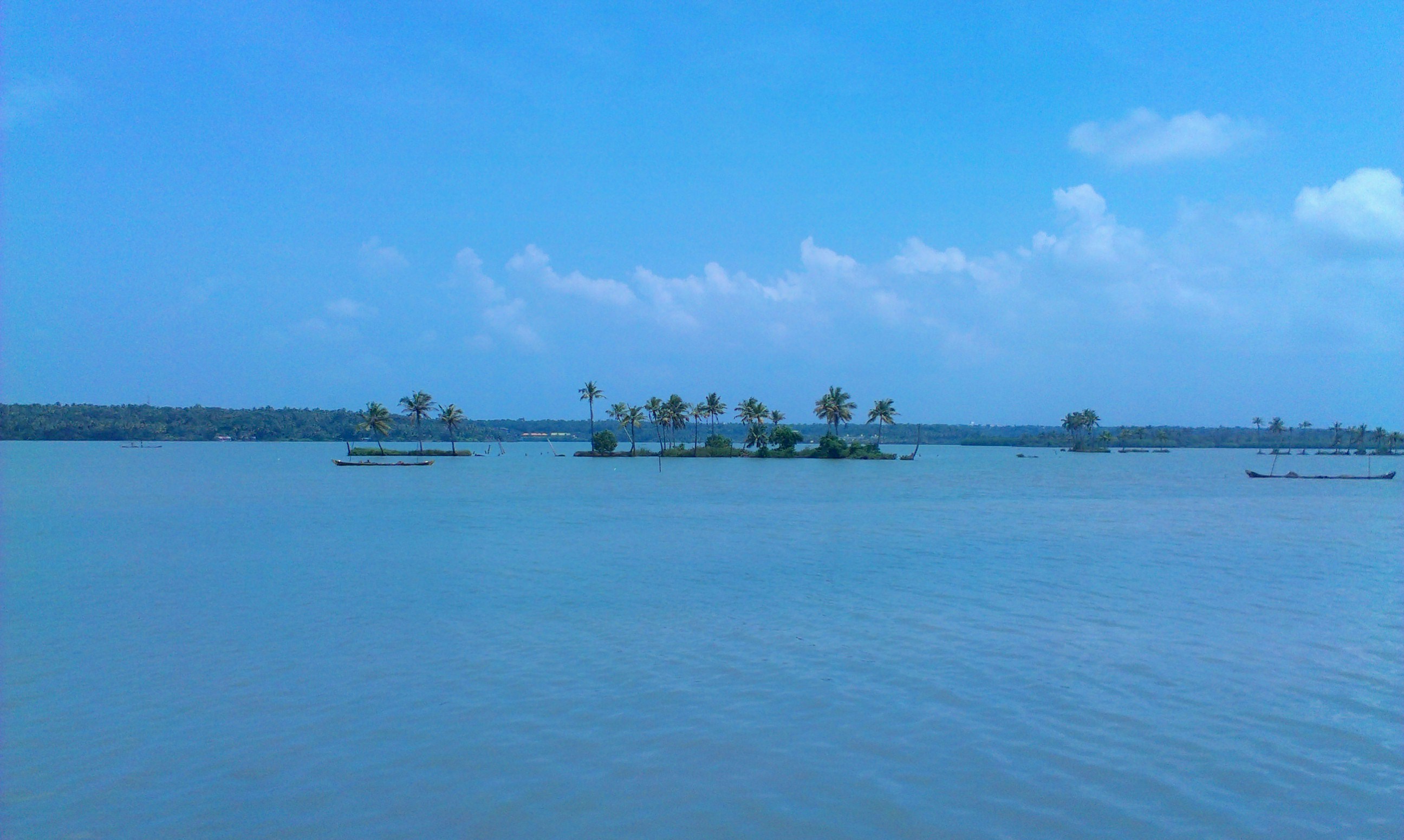 Free Unsplash photo from Ajay Pal Singh Atwal