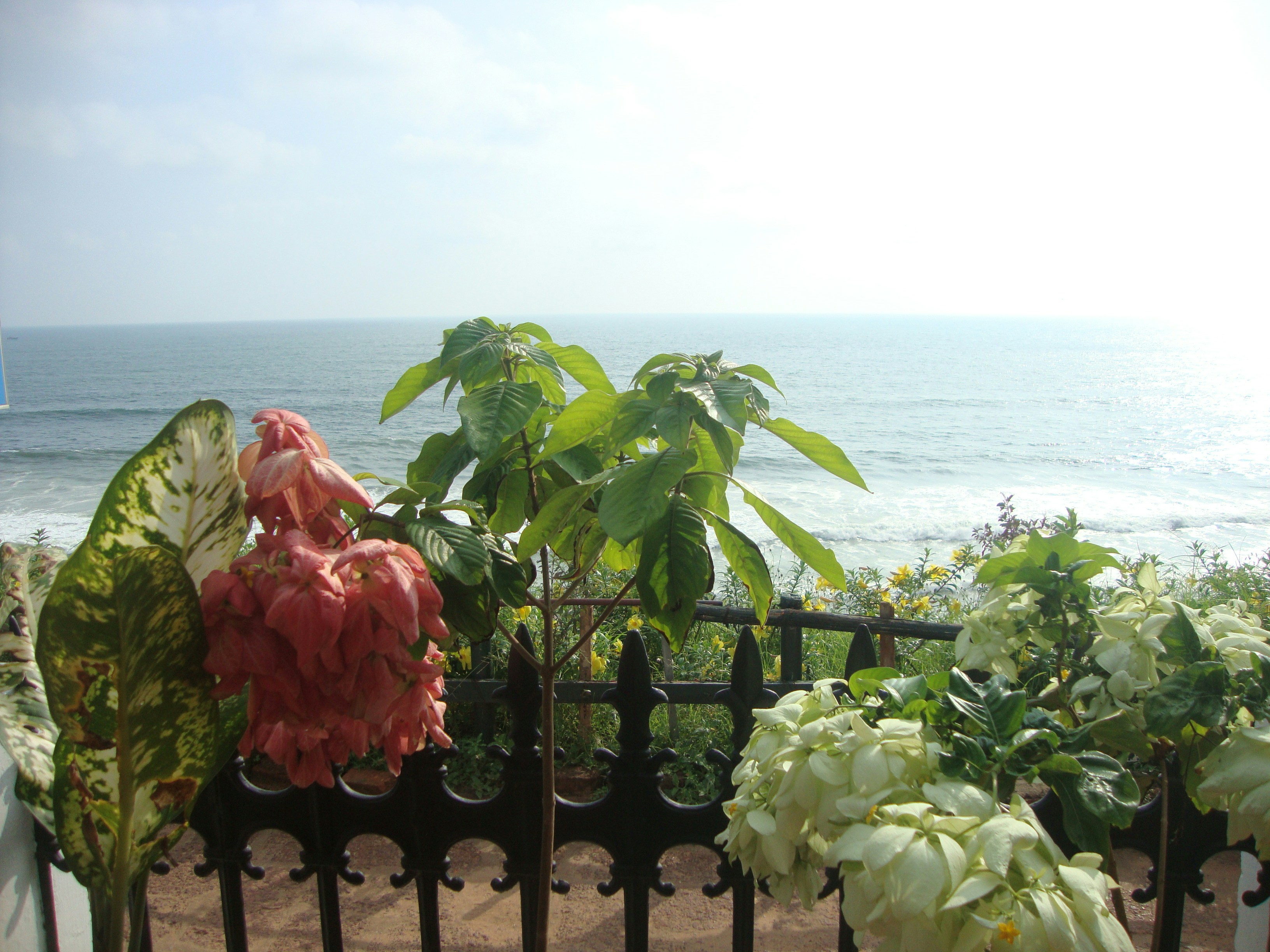 Free Unsplash photo from Ajay Pal Singh Atwal