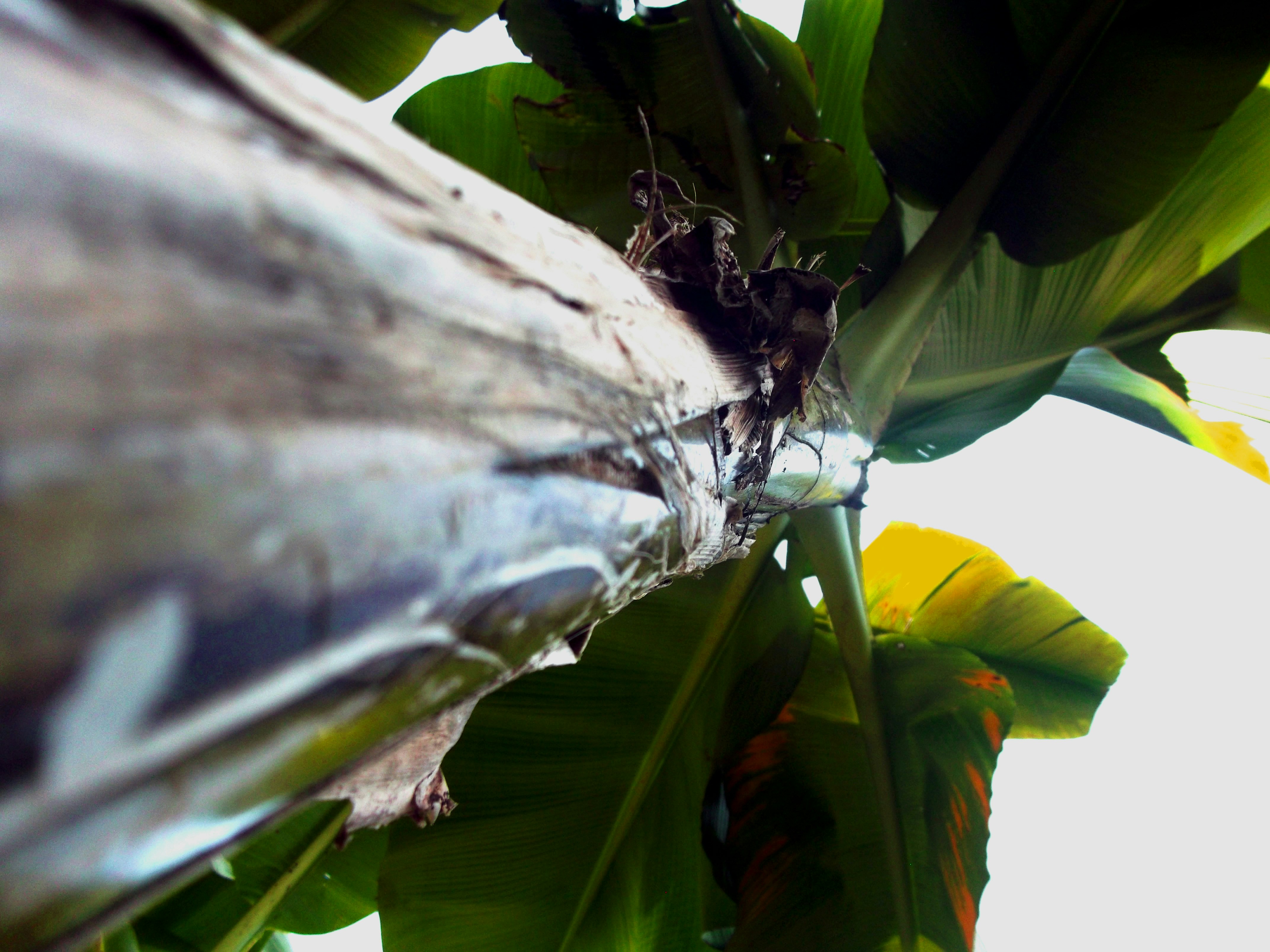 Free Unsplash photo from Sergey Kostin