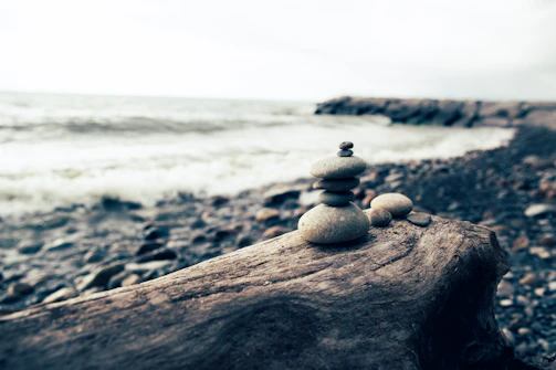 Close-up of smooth stones and driftwood arranged naturally on the beach.