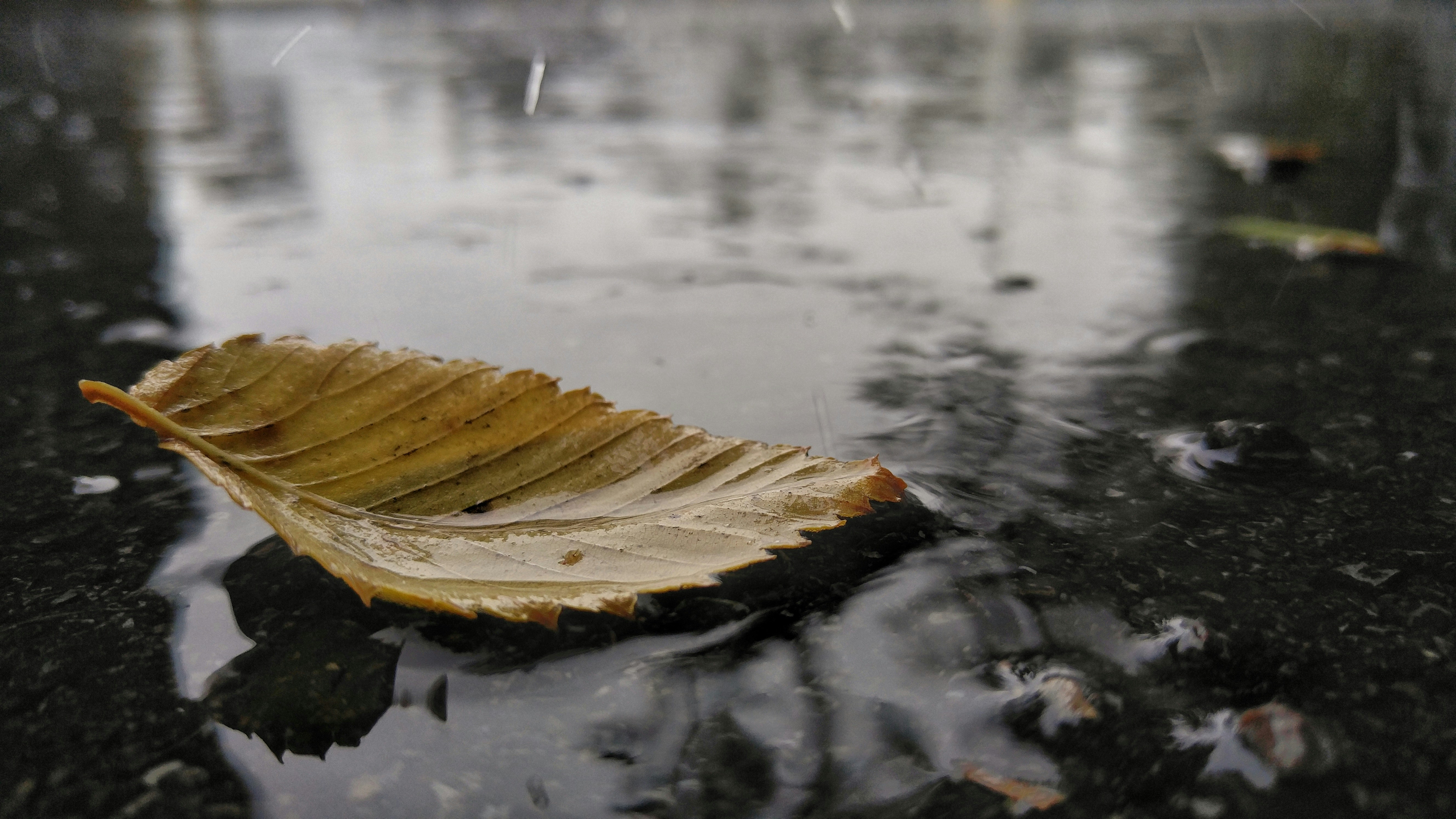 Free Unsplash photo from Minhaj Fahim