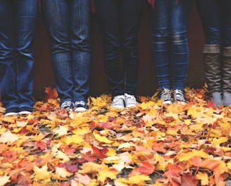 five people wearing blue denim jeans standing near maple leaves
