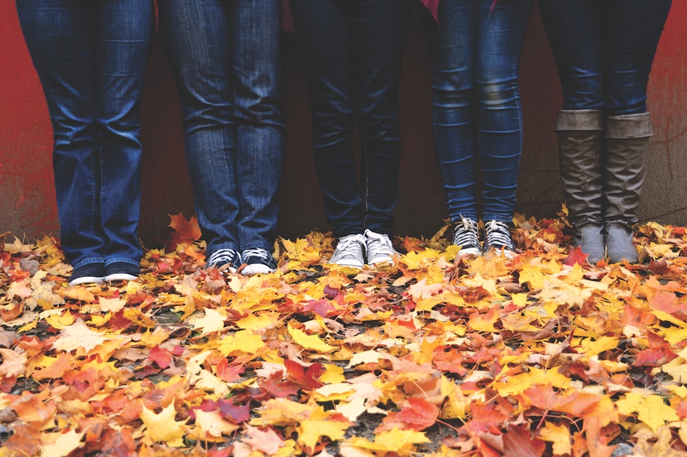 five people wearing blue denim jeans standing near maple leaves