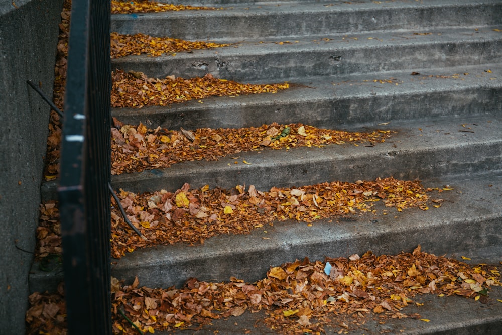 feuilles sur les escaliers