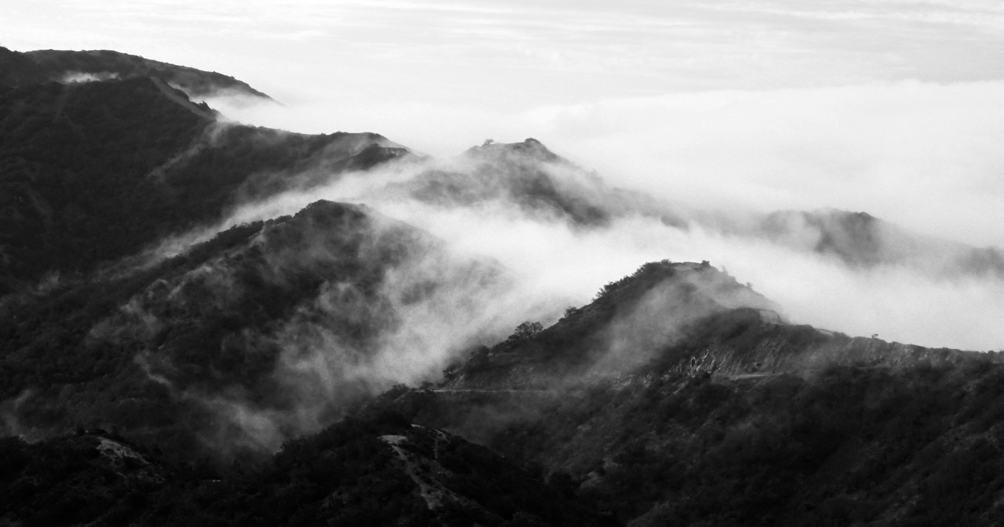 Free Unsplash photo from Elliot Bowie