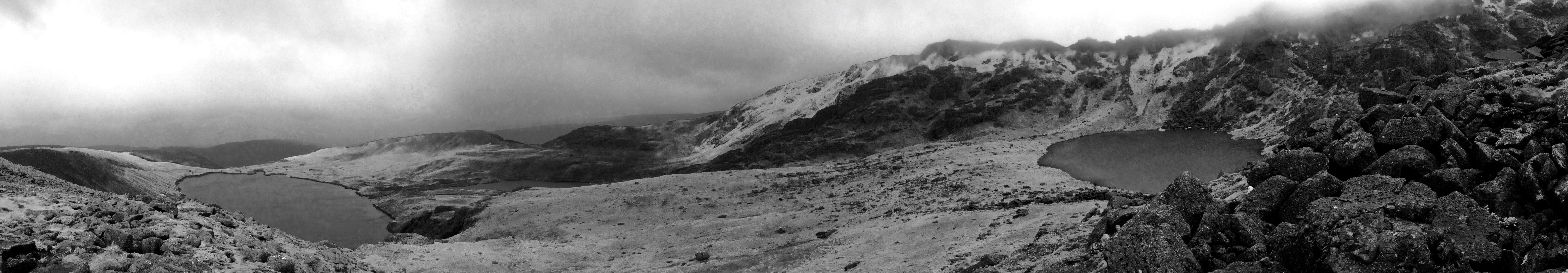 Free Unsplash photo from Elliot Bowie