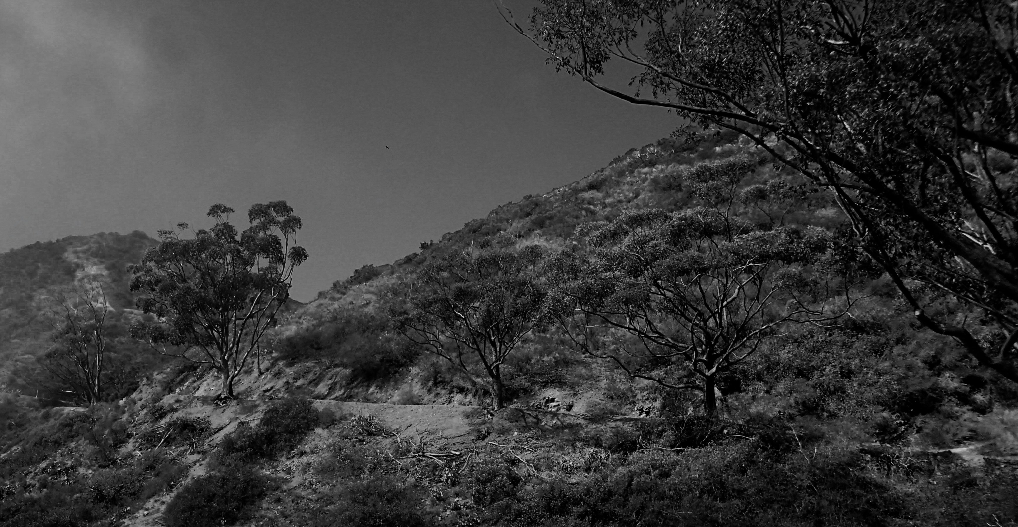 Free Unsplash photo from Elliot Bowie