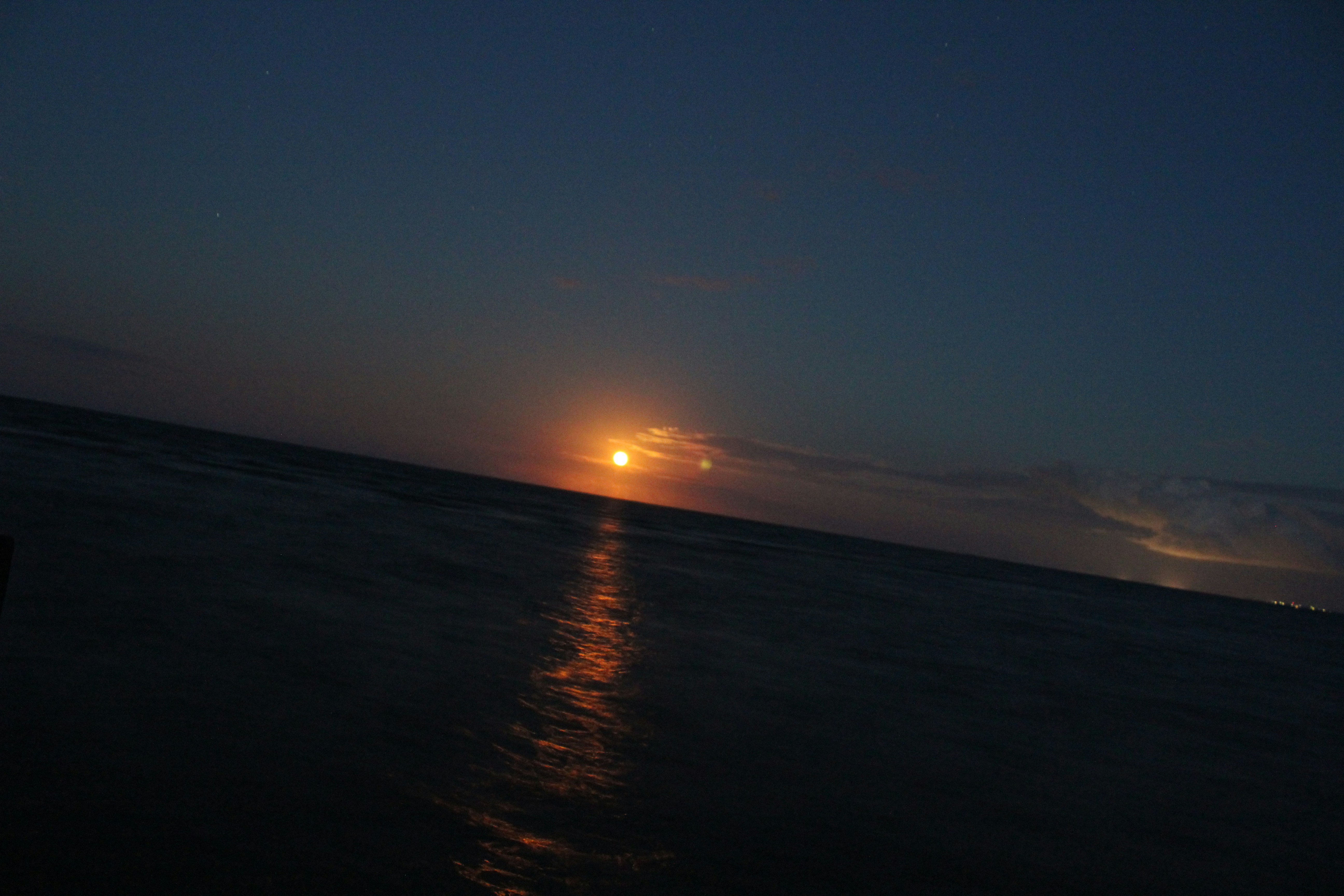 Free Unsplash photo from Queen Jess