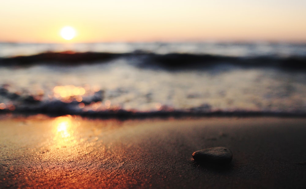 selective focus photography of pebble on seashore at sunset