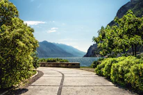 green trees near body of water during daytime