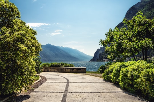 green trees near body of water during daytime in Riva del Garda Italy